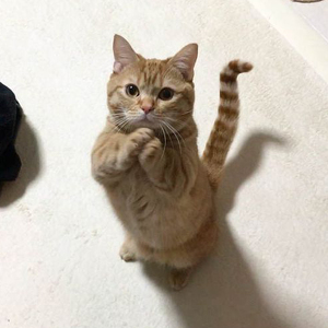 Annabel & Daniel Pan